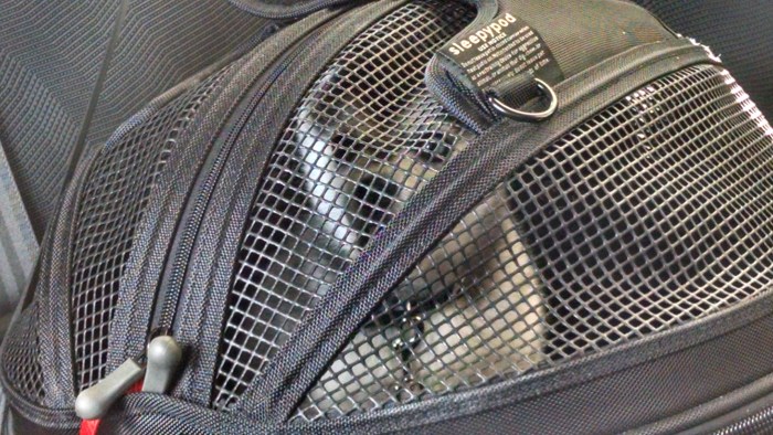 Sleepypod is not for sleeping.jpg