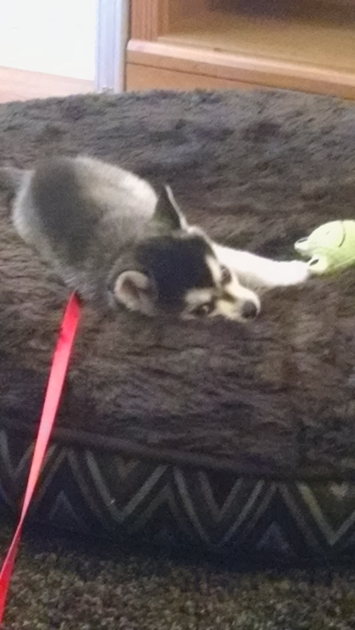 This bed is all mine