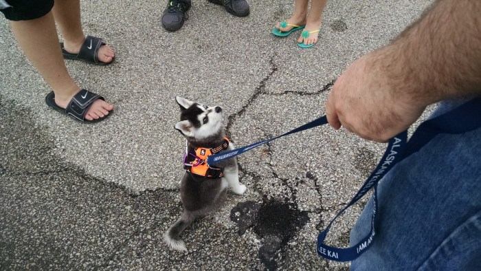 Kitto Looks At Me.jpg