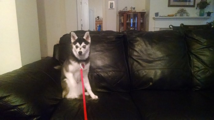 6-mo-sit-couch